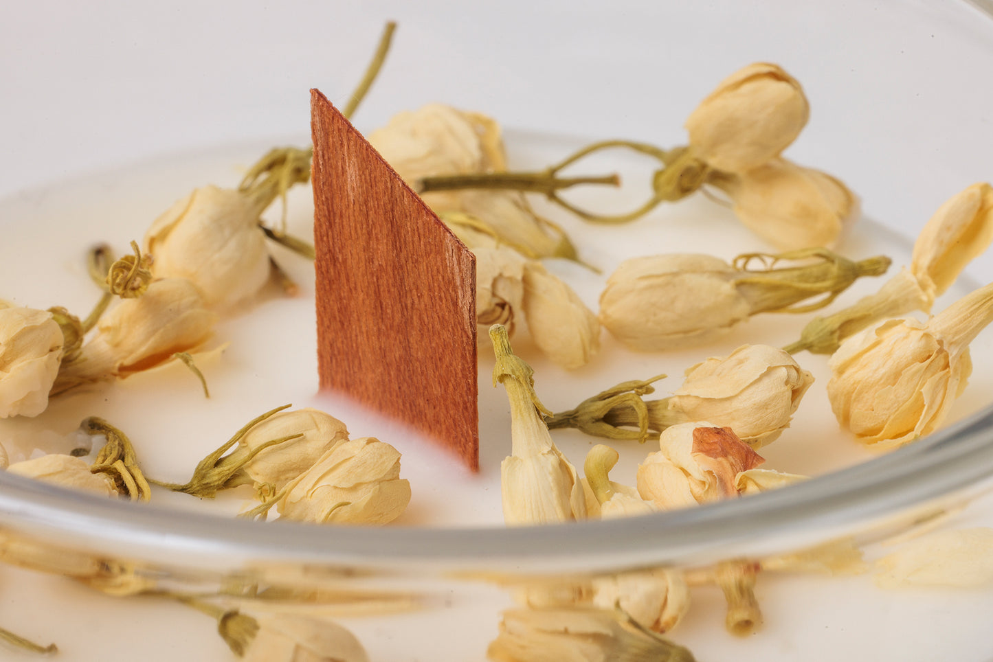 Forest Glow (Lesný svit)