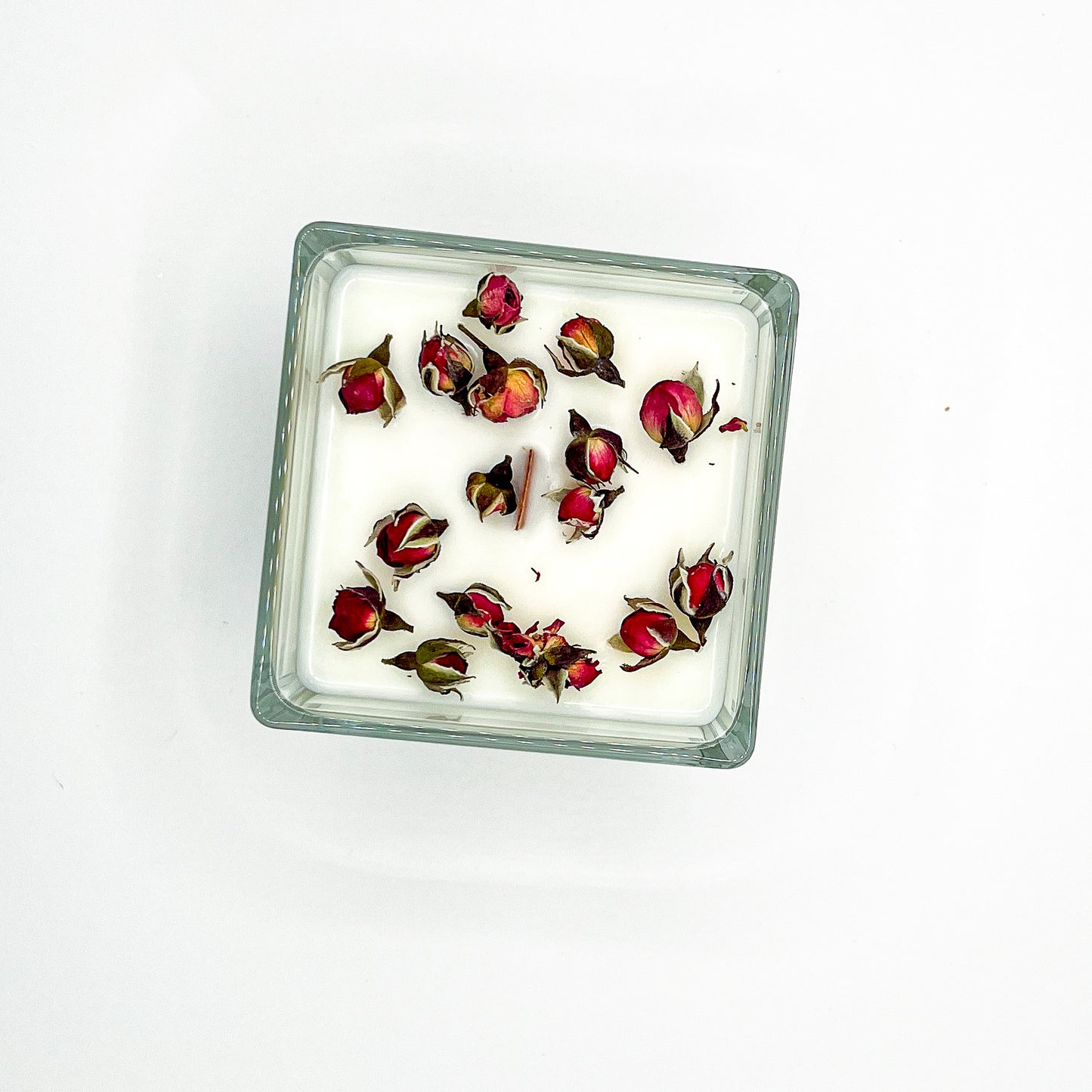 Velvet Fig (Zamatová figa)