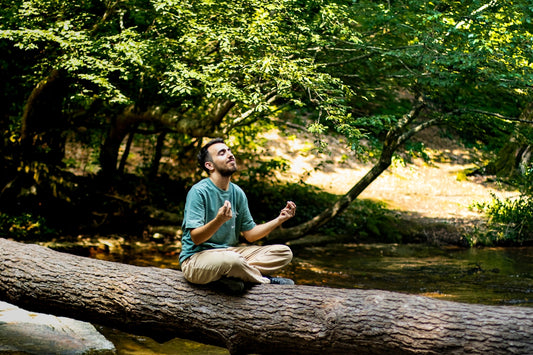 A man sitting on a log in the woods