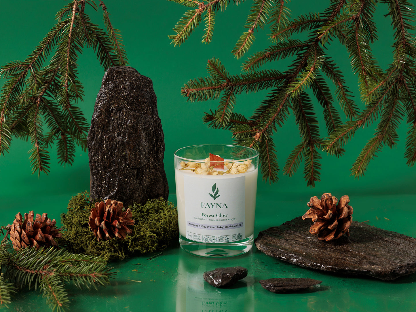 Forest Glow (Lesný svit)